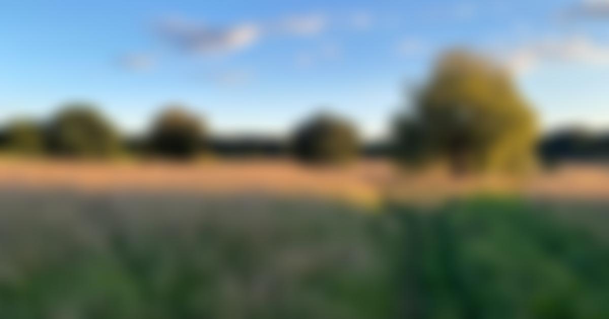 The Recreation Ground At Frimley | Charici