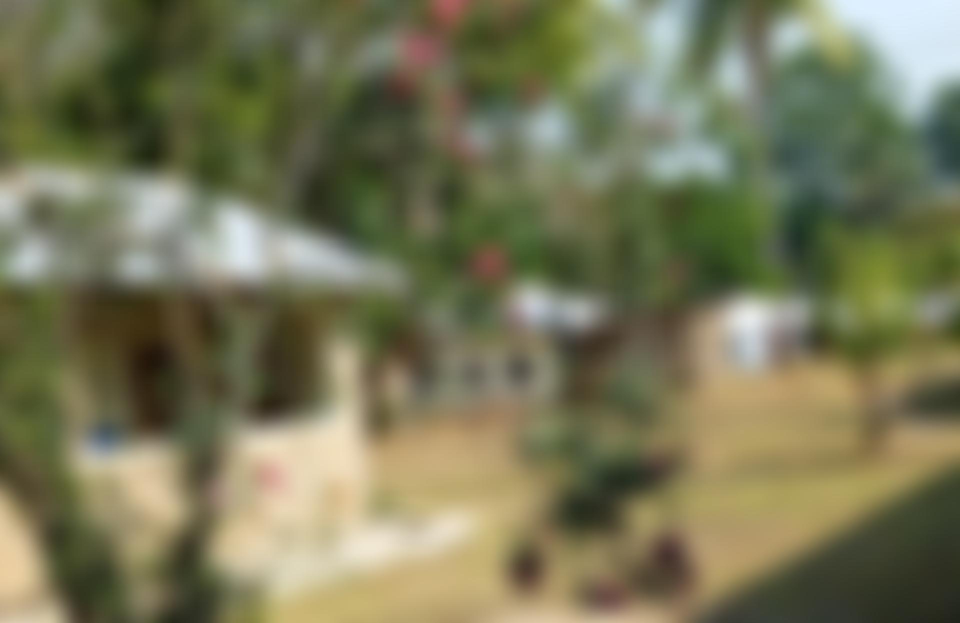 The Friends Of St Anne's Hospital Liuli | Charici