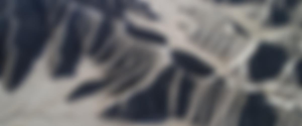 The Human Potential Trust | Charici