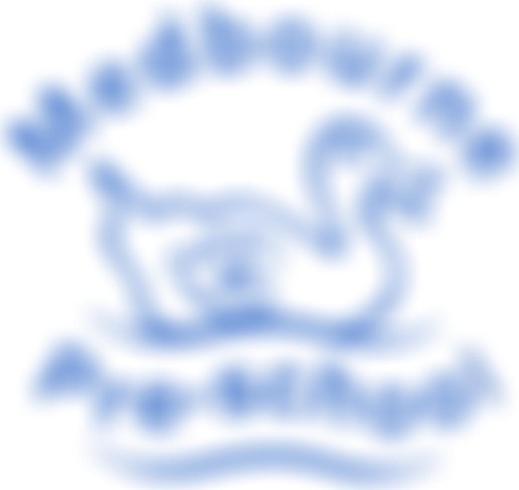 Medbourne Playgroup | Charici