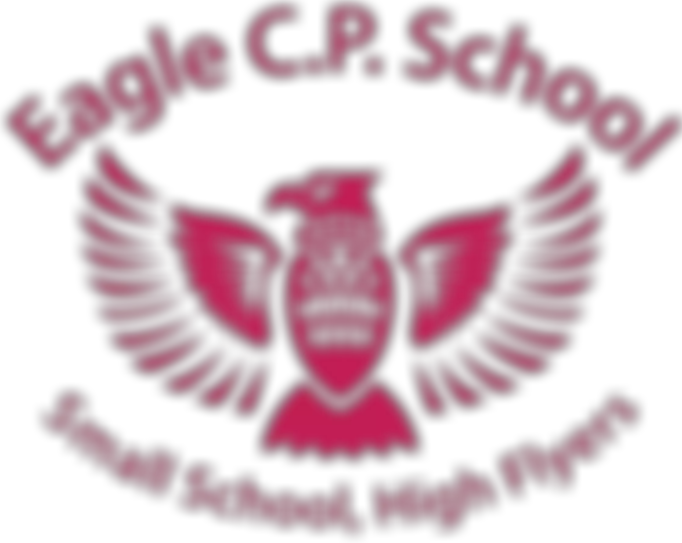Eagle School Fund | Charici