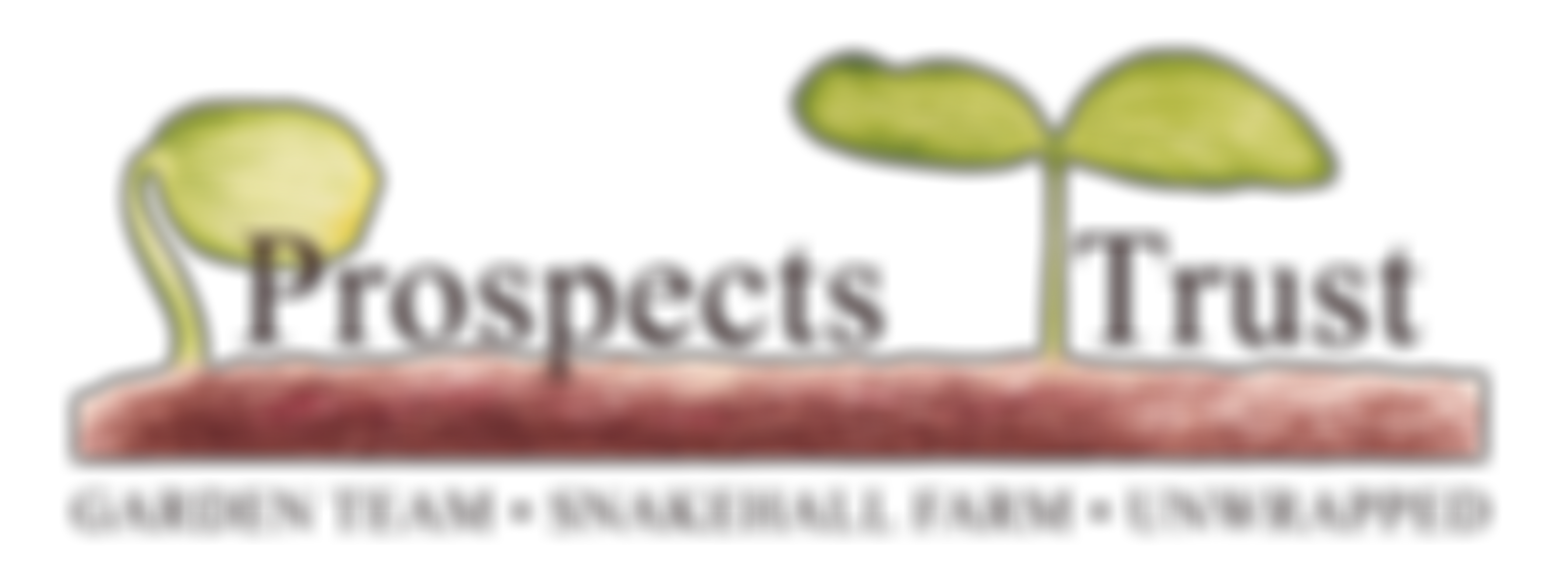 The Prospects Trust | Charici