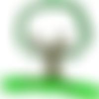 Oromo Community In The U.k. | Charici