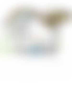 Beaulieu Respite | Charici