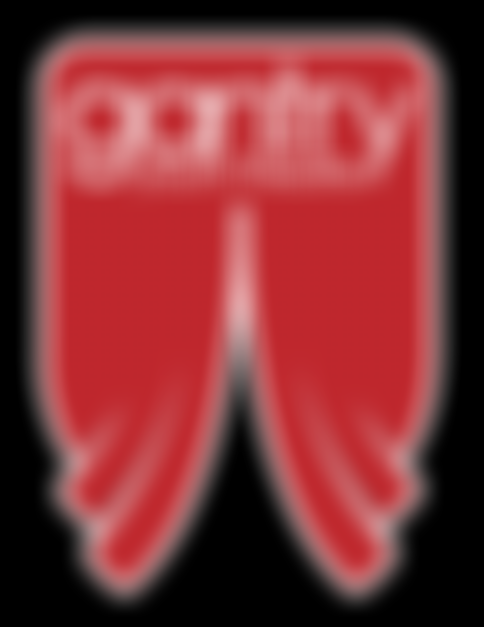 The Gantry Youth Theatre | Charici