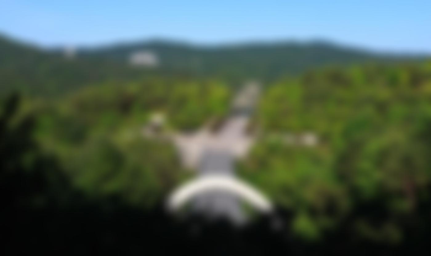 Shinji Shumeikai (UK) | Charici