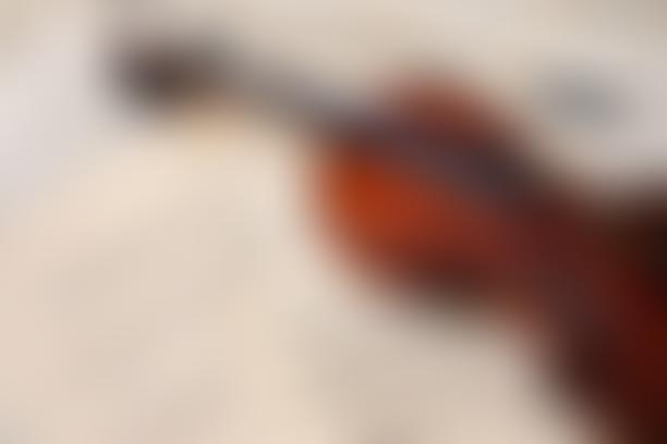 Lampeter Music Club | Charici