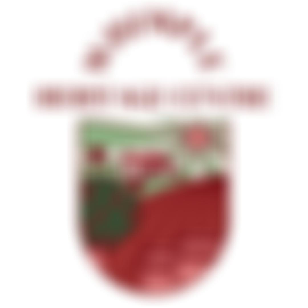 Whimple History Society | Charici