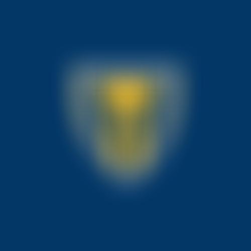 Castle Newnham Pta | Charici