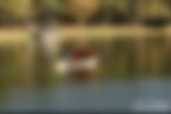 The C S Lewis Foundation (UK) | Charici