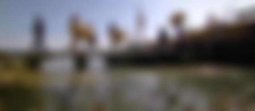 The Dawn Sailing Barge Trust Limited | Charici