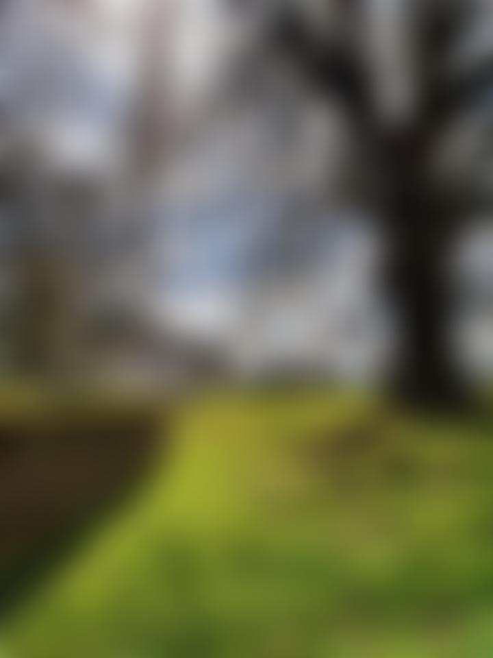 Petworth And District Community Association | Charici
