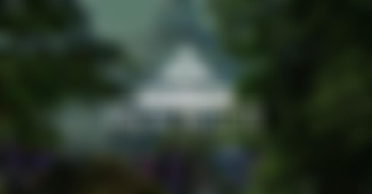 Sefton Park Palm House Preservation Trust | Charici