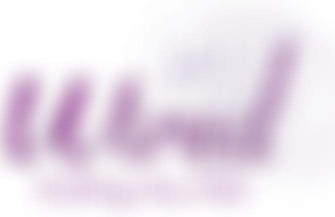 Wirral Information Resource For Equality And Diversity Ltd | Charici
