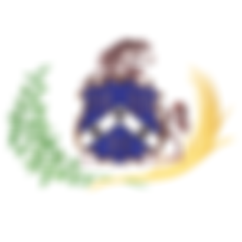 The Loriners Charitable Trust | Charici