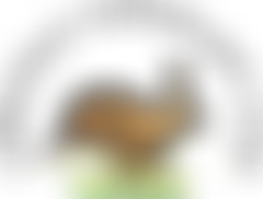 Harefield Transplant Club (The Hamsters) | Charici