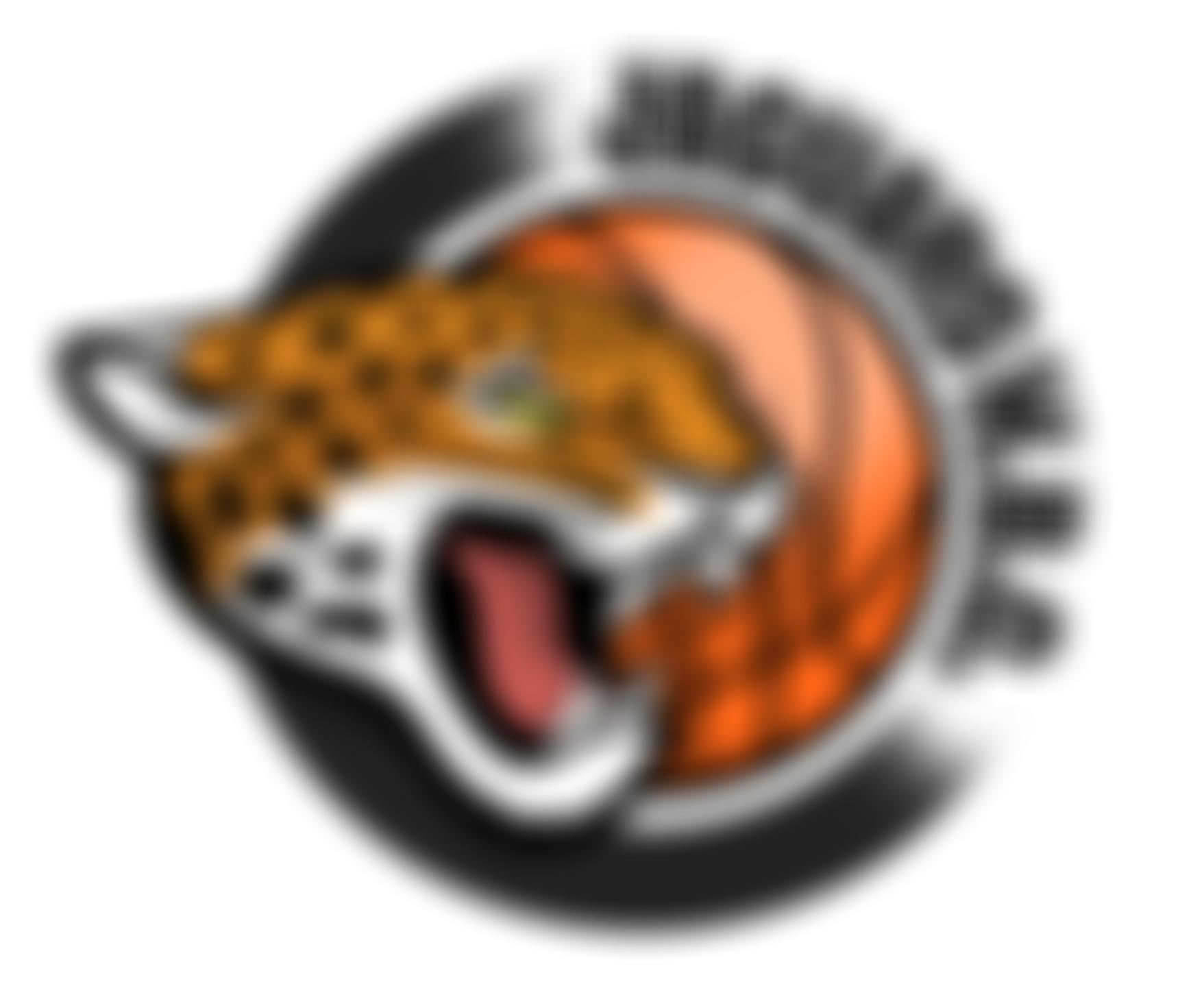 Jaguars Wheelchair Basketball Club | Charici
