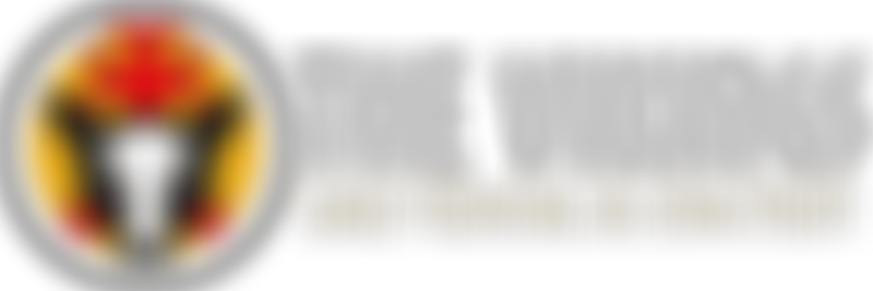 The Vikings | Charici