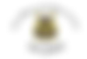 The Gilbert And Sullivan Society | Charici