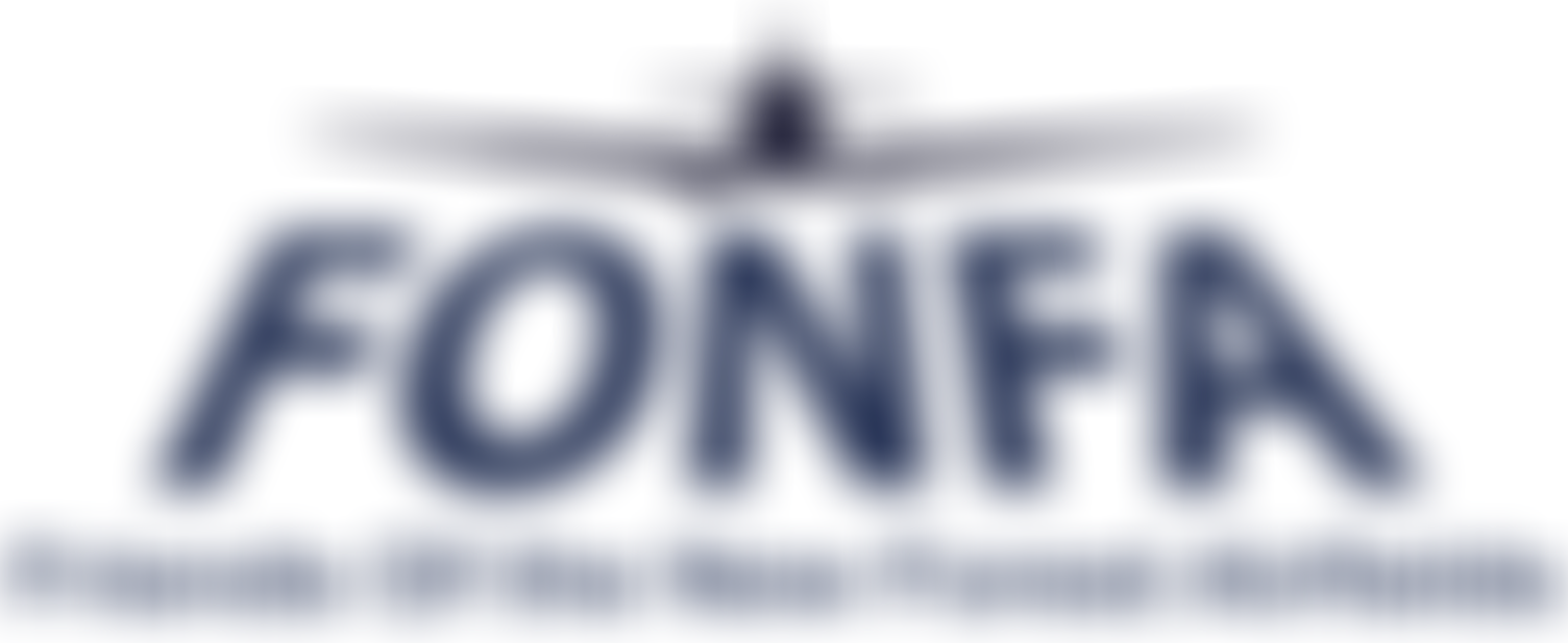 Friends Of New Forest Airfields | Charici