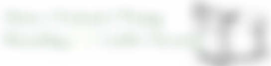 The New Forest Pony Breeding And Cattle Society | Charici