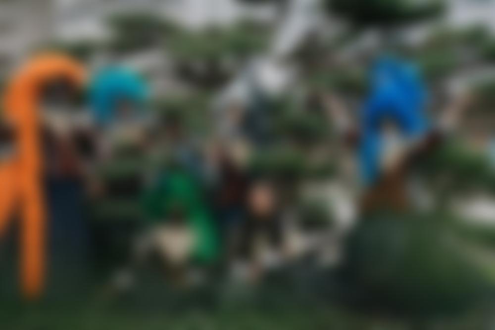 South East Dance Limited | Charici