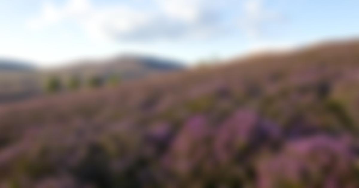 Kent Wildlife Trust | Charici