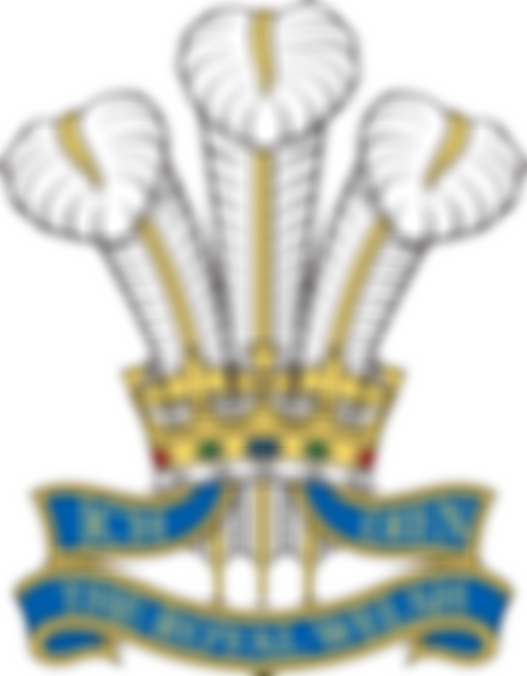The Friends Of The Royal Welsh Regimental Museum | Charici