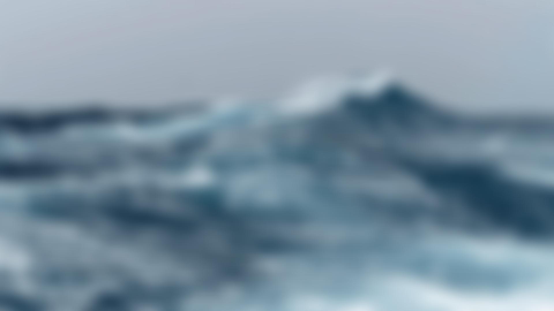 Marine Stewardship Council | Charici