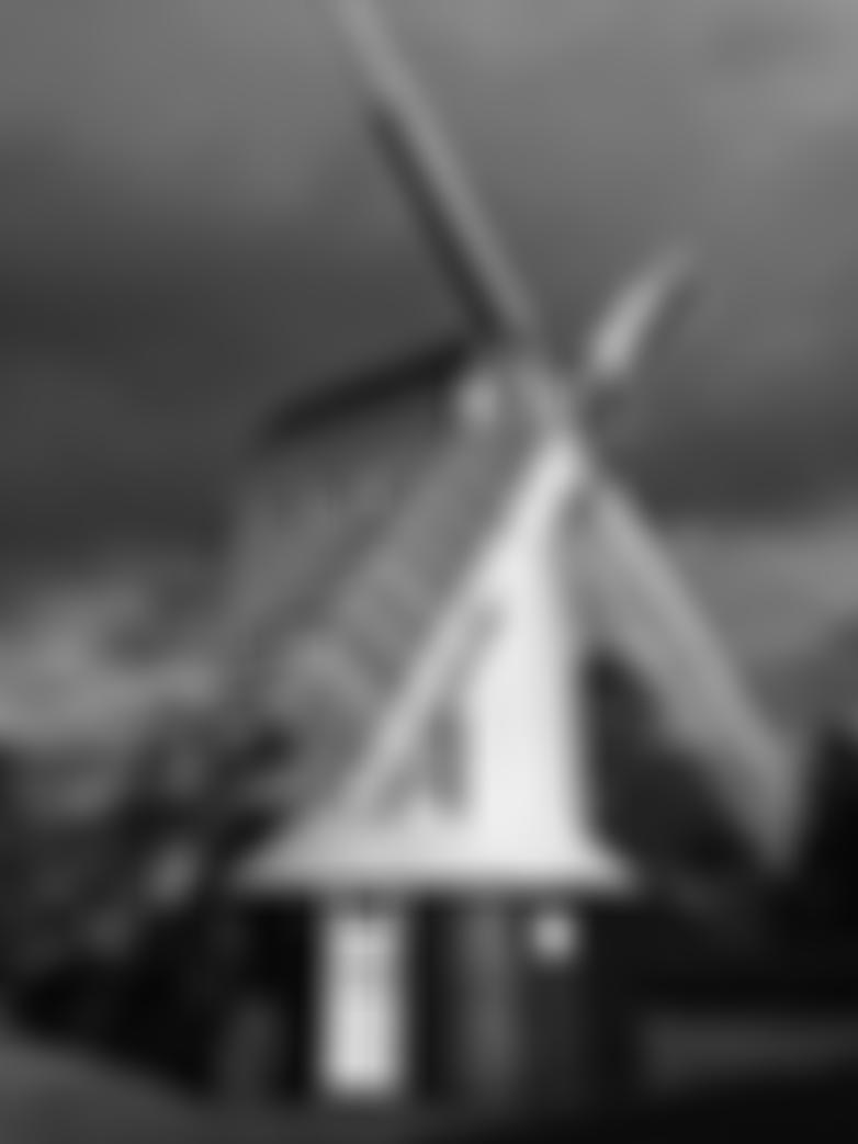 The Lowfield Heath Windmill Trust | Charici