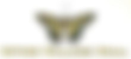 Upton Village Hall Group | Charici