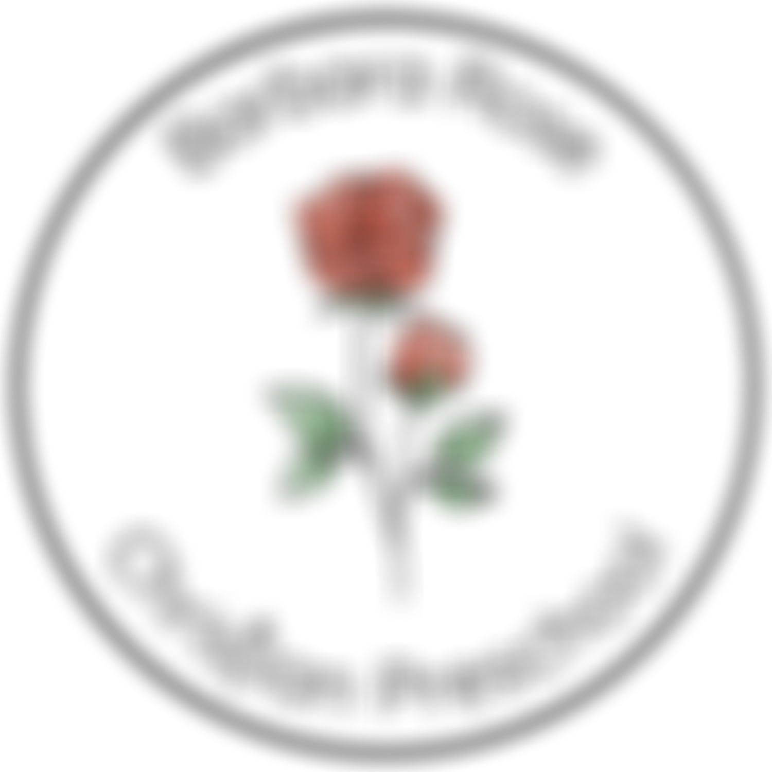 Barbara Rose Pre-School Playgroup | Charici