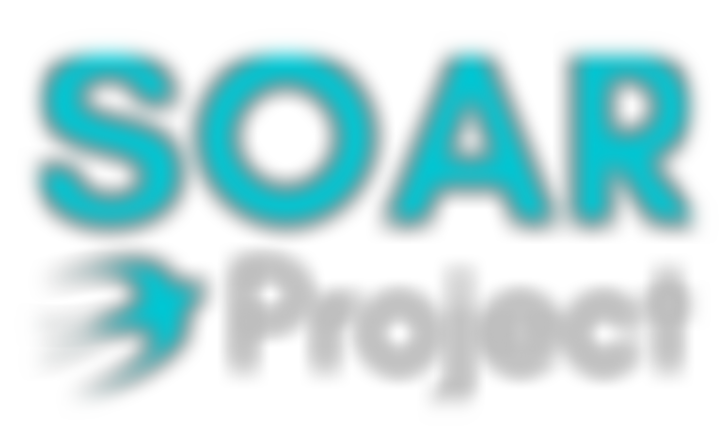 The Soar Project | Charici