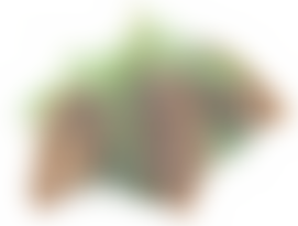 Birmingham Retirement Council | Charici