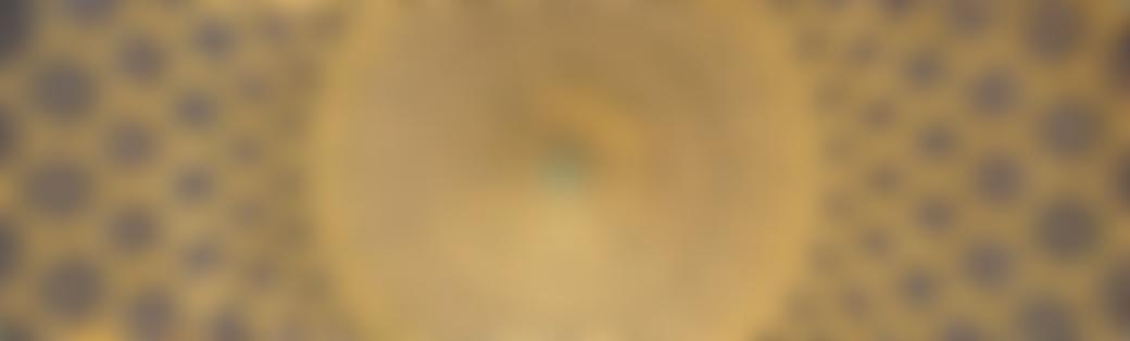 Association Of Muslim Researchers | Charici