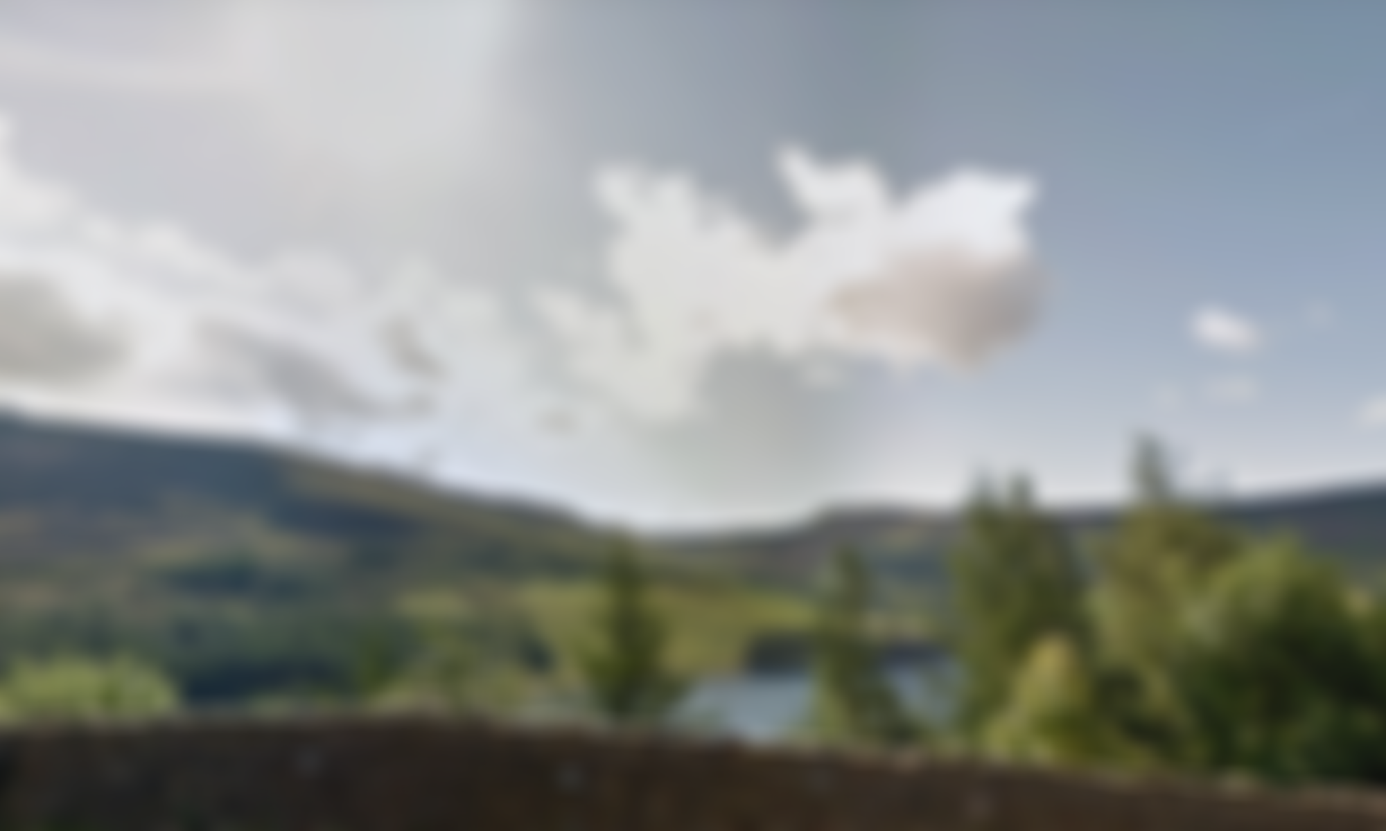 The Diggle Band | Charici