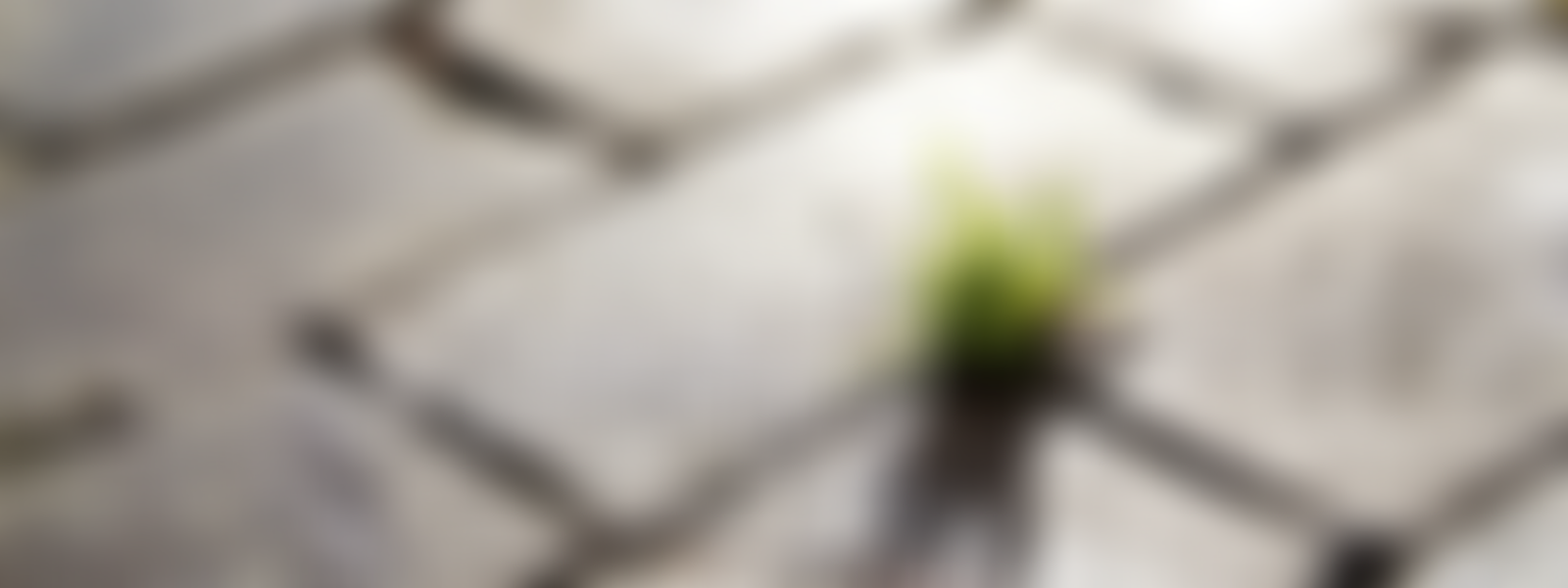 Northamptonshire Domestic Abuse Service | Charici