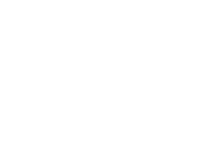 Hayes Press | Charici