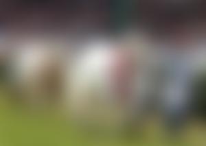 Bridgend Country Show Limited | Charici