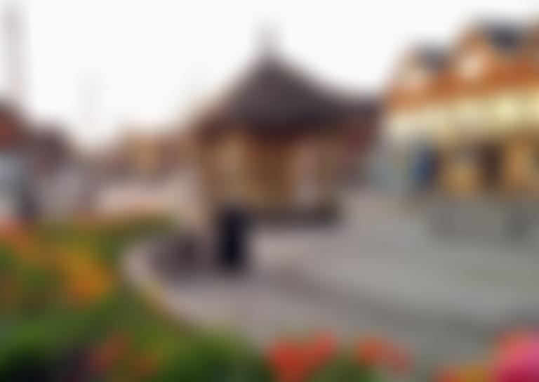 U3A Cranleigh And District Area | Charici