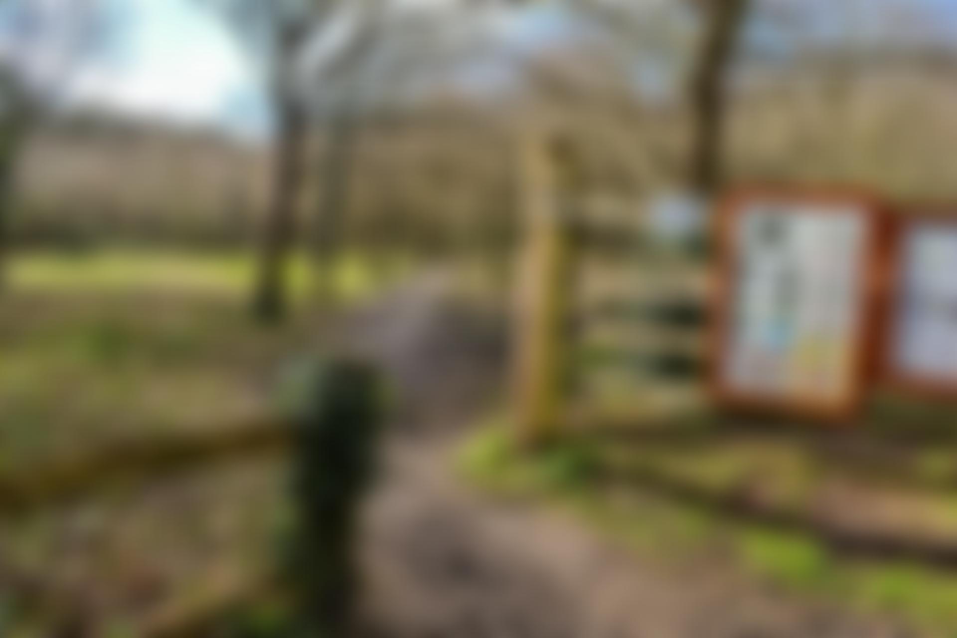 Play Lane Millennium Green Trust | Charici