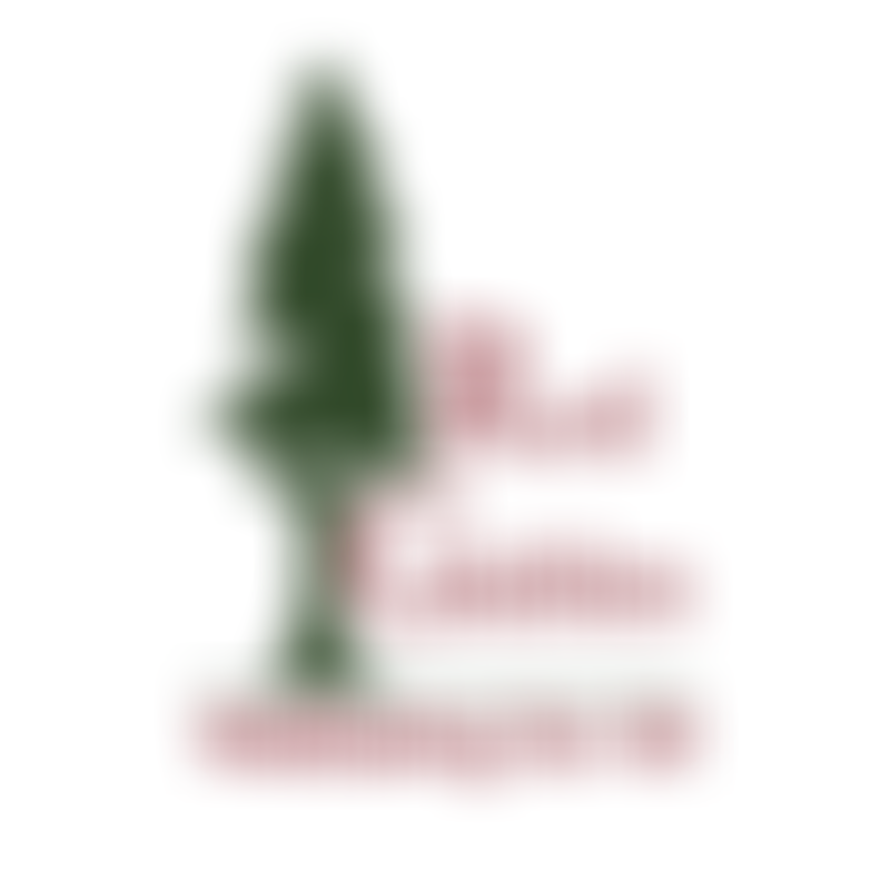 Mid Suffolk Voluntary Organisations Forum | Charici