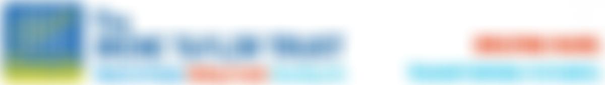 The Irene Taylor Trust | Charici