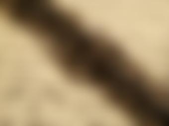 The Nicholas Boas Charitable Trust | Charici