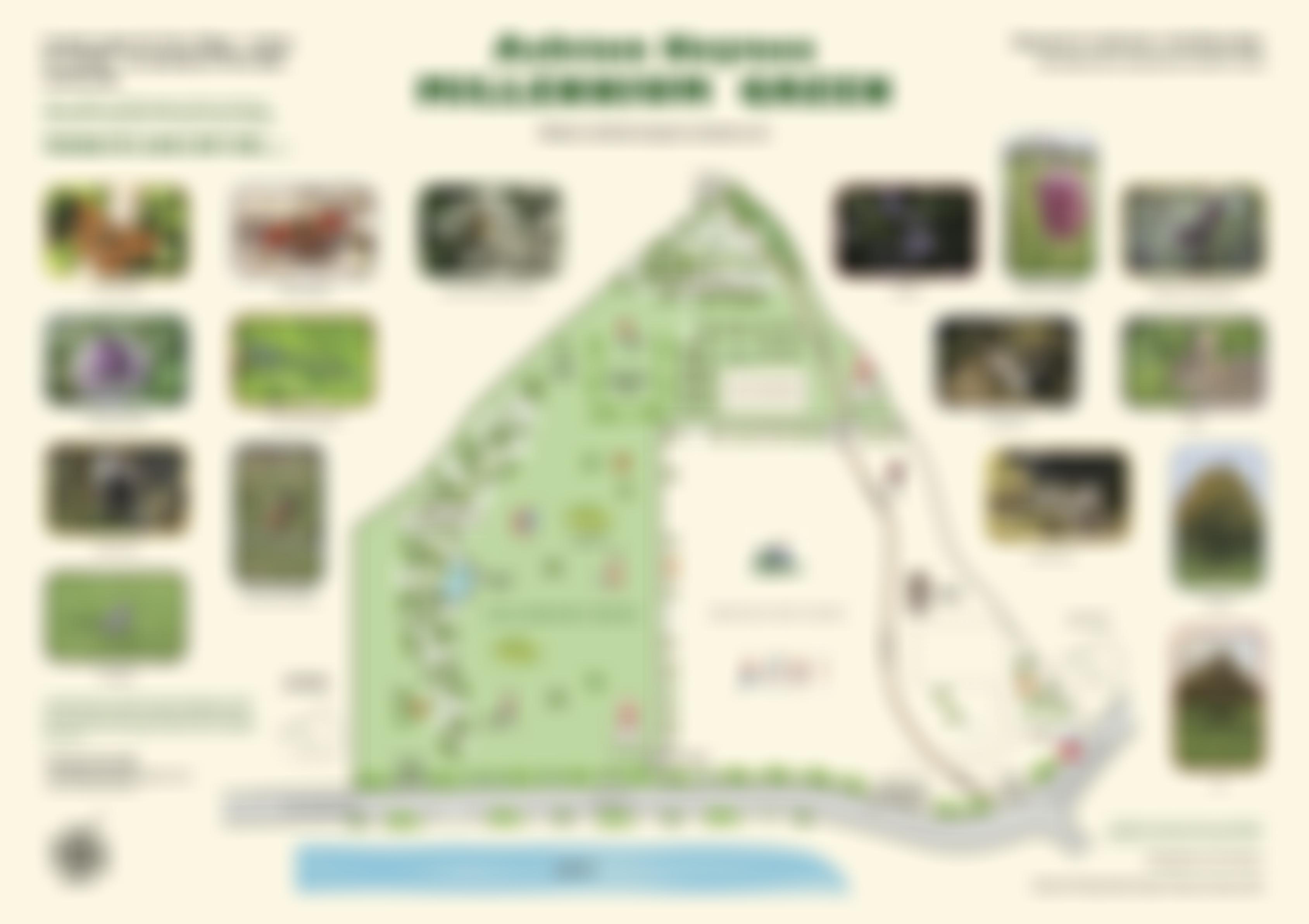 Ashton Keynes Millennium Green Trust | Charici