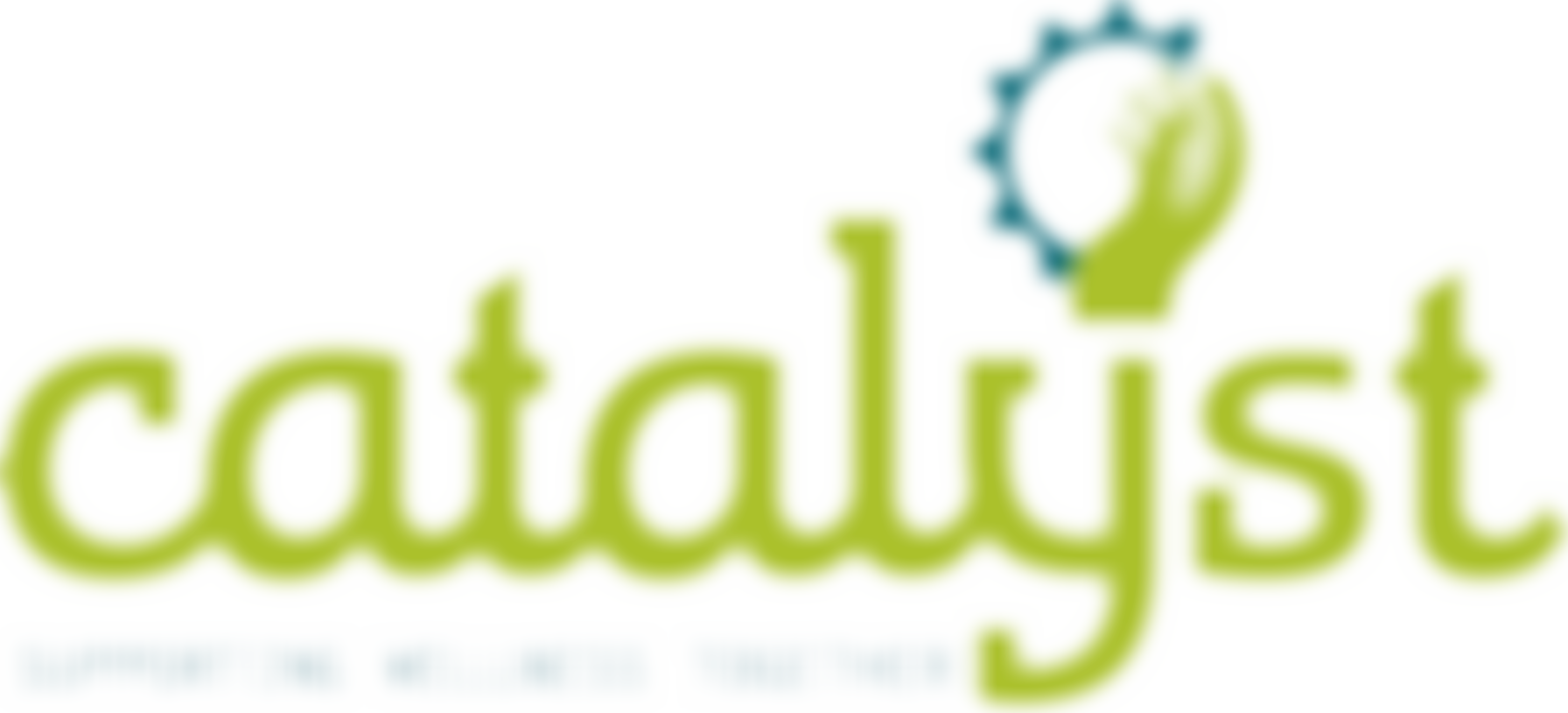 Catalyst Support Limited | Charici