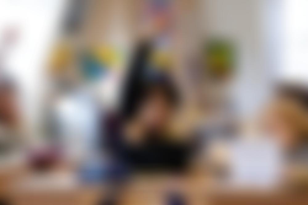 Greenwich Waldorf School Initiative | Charici