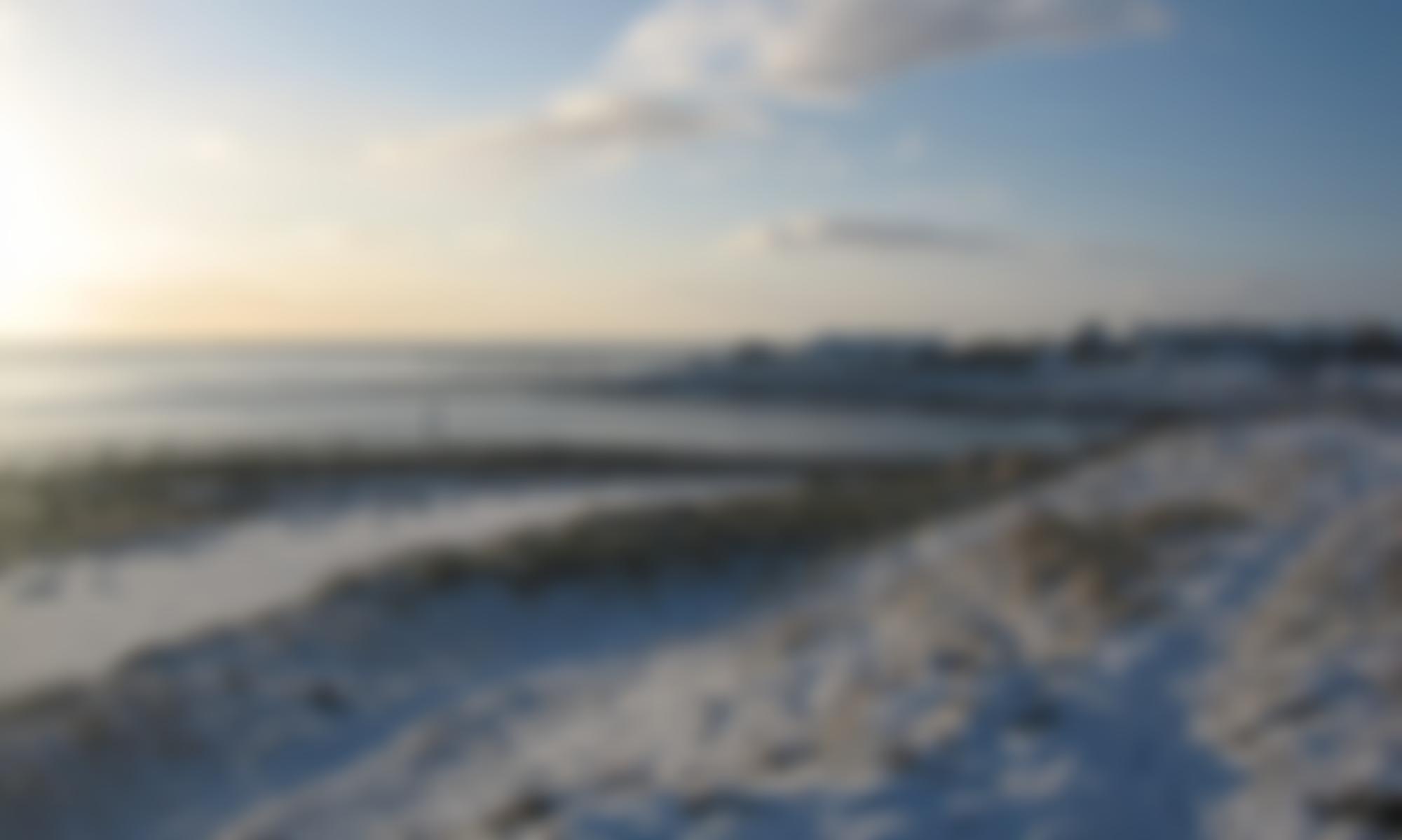 Highland Society Of London | Charici