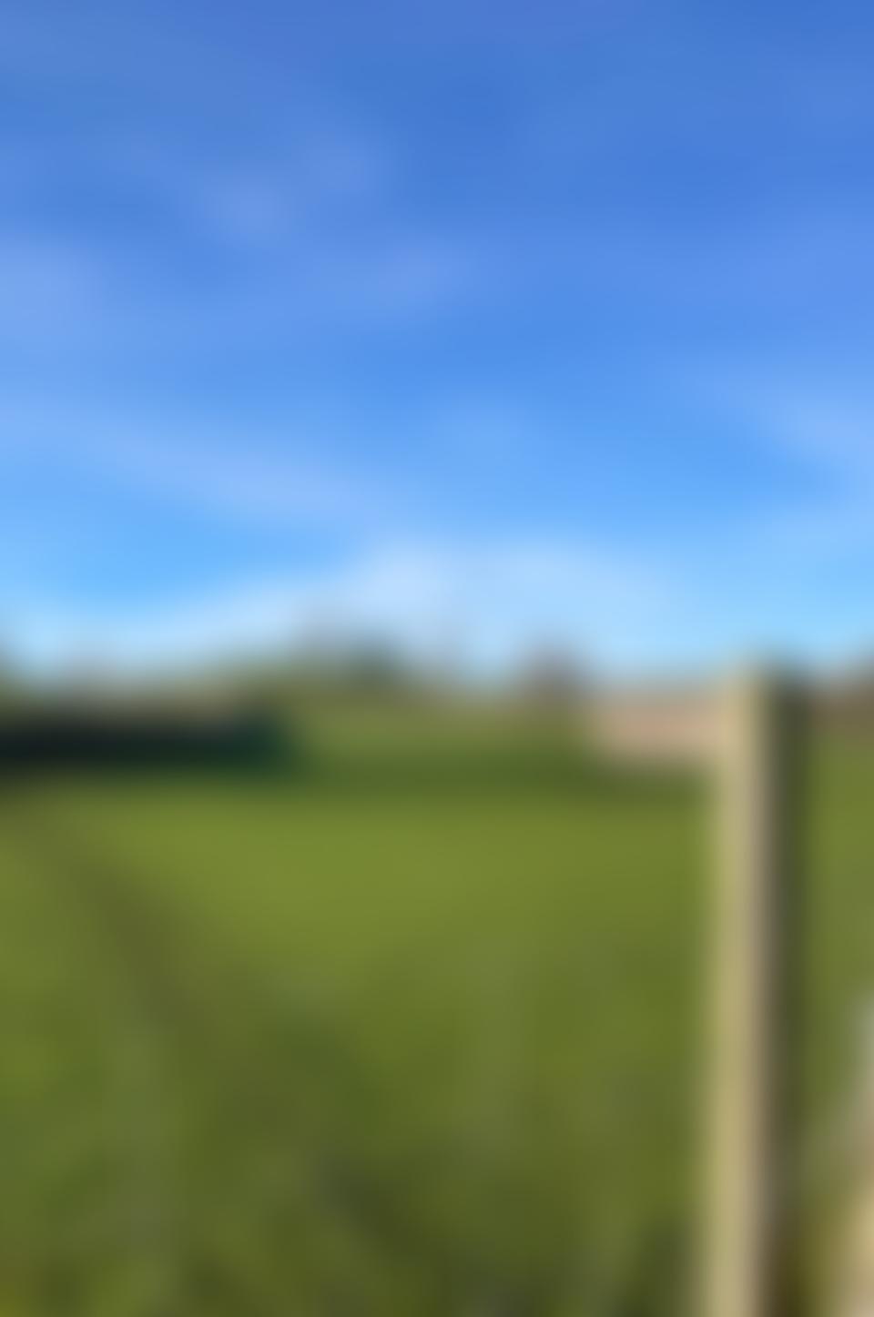 Bawb Ptfa | Charici