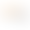 The Ethnic Inclusion Foundation | Charici